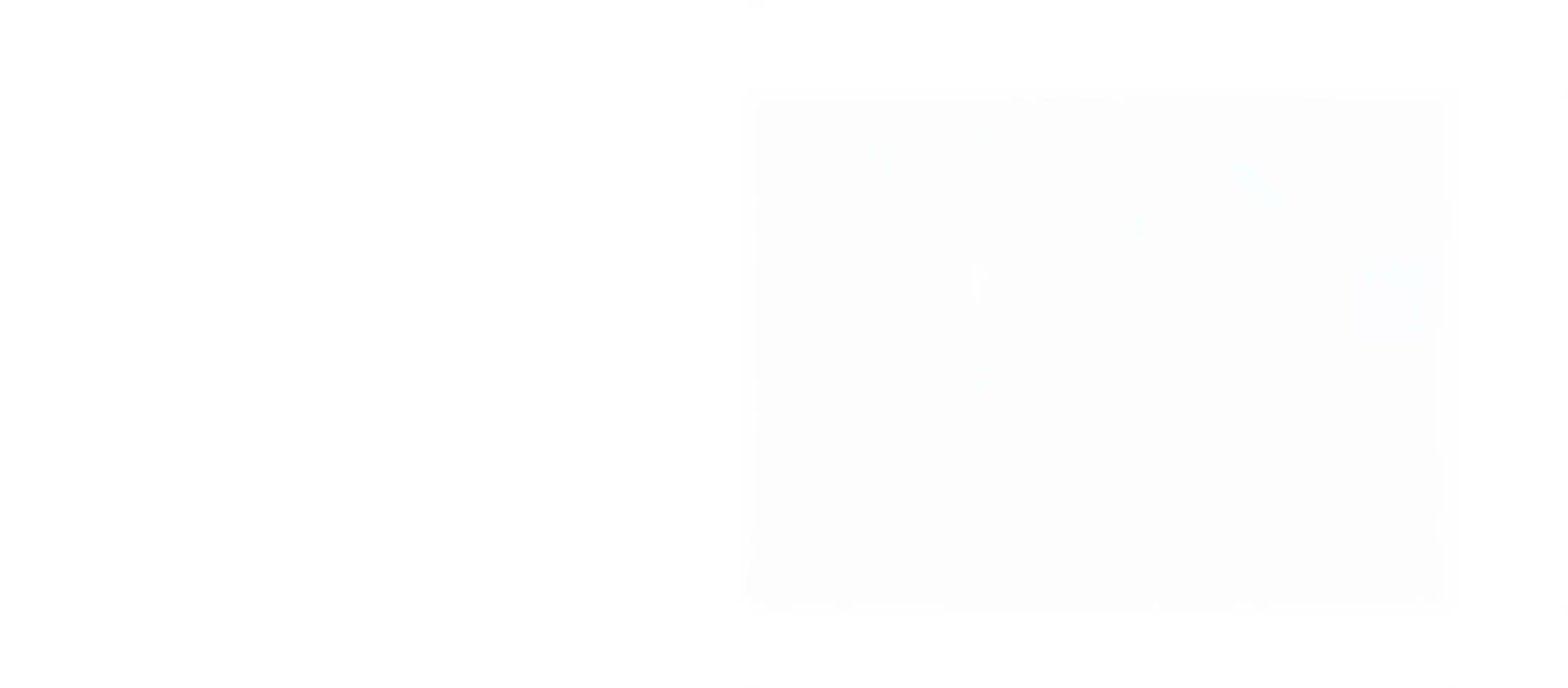 main-banner
